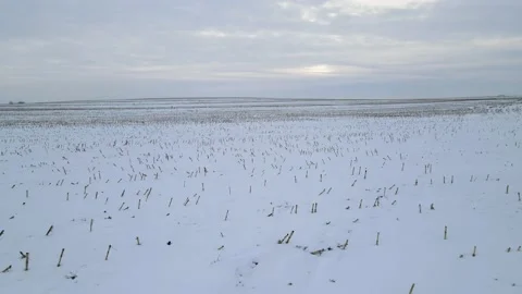 Flying through a winter farm field Stock Footage 170523931