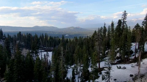 Flying through the Winter Forest Stock Footage 108561769