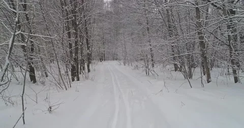 Flying through the winter forest Stock Footage 147191089