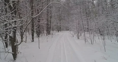Flying through the winter forest Stock Footage 147192099