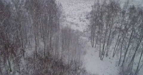 Flying through the winter forest Stock Footage 147198068