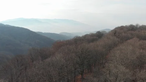 Flying through a winter Sabaduri forest. Georgia 库存影片 120554856