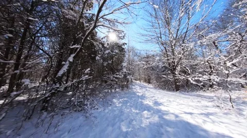 Flying thru forest after heavy snowstorm,Trees covered after winter storm Stock Footage 160227349