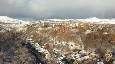 Flying Thru The Park 2 Stock Footage 166981481