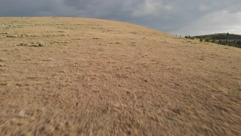 Flying to the top of big dry grass hill Stock Footage 166419925