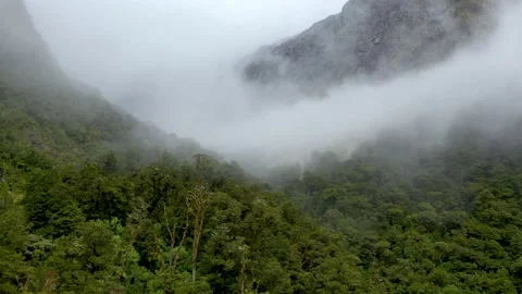 Flying on top over the trees into the clouds in New Zealand Stock Footage 150225817