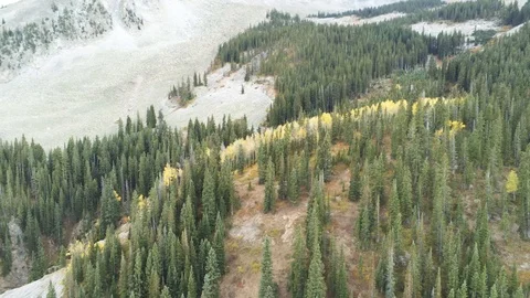 Flying toward a mountain ridge in fall colors, descending toward trees Stock Footage 104153966