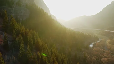 Flying toward setting sun over a vast mountainside forest, river, Provo Canyon Video stock 242825164