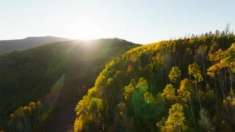 Flying Toward Sunset Over Golden Aspens | Piney River Ranch Drone Vídeos de archivo 331434892