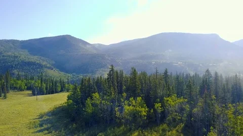 Flying toward trees  스톡 동영상 87621981