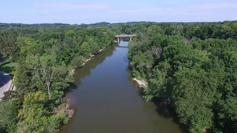 Flying towards bridge Trees Foliage Park flyover Stock Footage 89585130