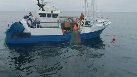 Fish in a fishing trawl: as the net bag , Stock Video