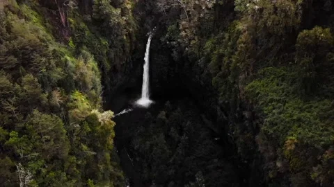 Flying towards huge waterfall surrounded by forest drone aerial Stock Footage 170758299