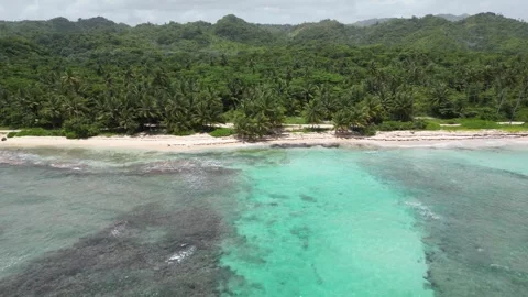 Flying towards the idyllic Playa Rincón beach near Las Galeras and the lush Vídeo Stock 299568464