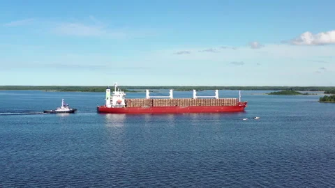 Flying Towards A Large Ship Loaded With Timber And A Tugboat Slowing It Down Stock Footage 204918847