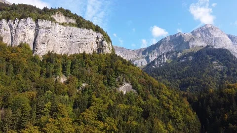 Flying towards a mountain range and fir forest. Autumn colors. Video stock 152128491