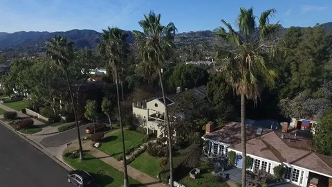 Flying towards a row of palm trees in Los Angeles Stock Footage 88785451