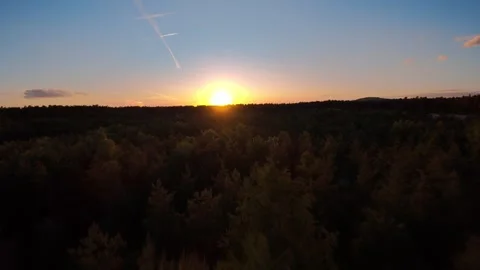 Flying towards sunset over forest in summer with clear sky Stock Footage 314161217