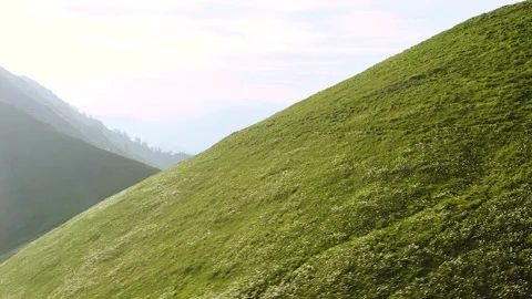 Flying Towards Top, Edge Of Mountain, Golica Hill With Beautiful Green Meadow. Видео 250416498
