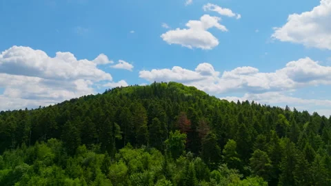 Flying towards a tower on a forested hill Stock Footage 315751726