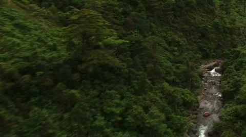 Flying by tree Stock Footage 286505