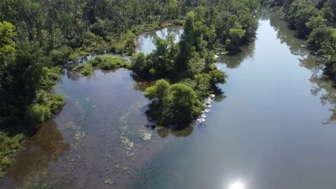 Flying with trees in focus drone over river in park Ohio Stock Footage 159675948
