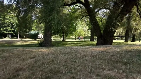 Flying by trees at the park on a beautiful summer day in  toronto Stock Footage