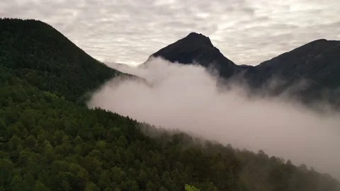 Flying trough clouds over forest against mountain  Stock Footage 162388440
