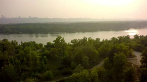 Flying trough forest 스톡 동영상 65879665