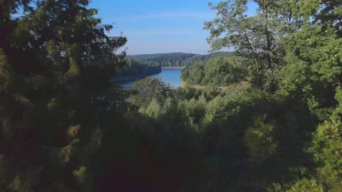 Flying trough trees to a lake 스톡 동영상 204127596