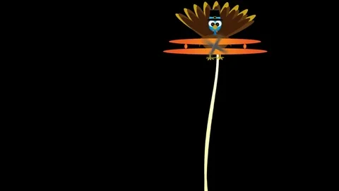 Flying Turkey Skywriter Stock Footage 82090845