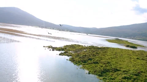 Flying With Two Ashen, Marsh And Brown Loon Bird, Orbiting Around Lake Cerknica. Stock Footage 250269502
