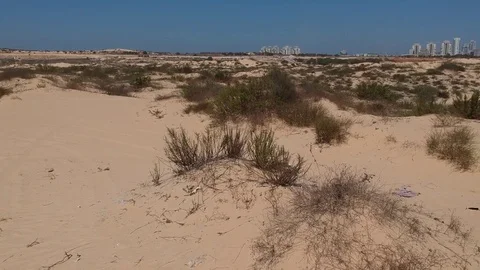 Flying on unclean deserted sand Stock Footage 79950941