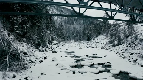 Flying under the bridge 库存影片 144524624