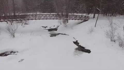 Flying under the bridge in wintry park Stockbeeldmateriaal 73976034