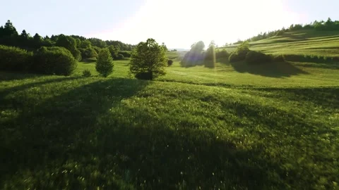 Flying under the bright summer sun, a lone tree stands tall in the lush meadow. Video stock 259074406