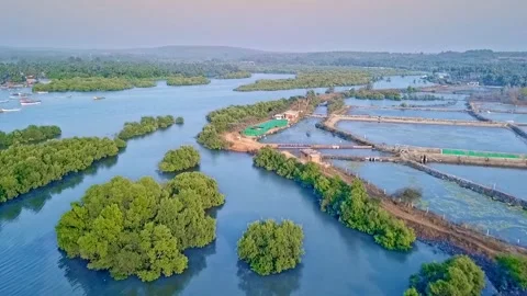 Flying under the lakes in forest Stock Footage 133251587
