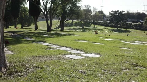 Flying Under Trees And Over Headstones Vídeo Stock 209399887