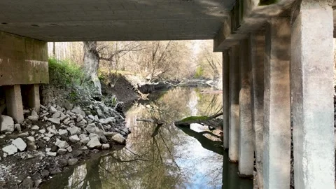 Flying underneath a bridge in the Danube floodplain area Stock Footage 291253796