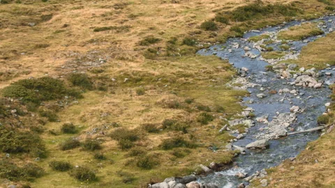 Flying Upstream Stock Footage 141124639