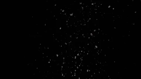 Flying vegetables on a black background for overlay mode Stock Footage 152339112