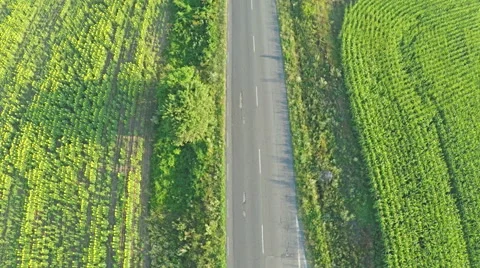 Flying vertically above car driving on road in countryside. Stock Footage 58839830