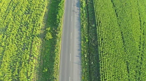 Flying vertically above car driving on road in countryside. Stock Footage 58841826