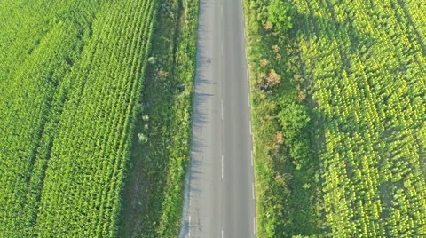 Flying vertically above car driving on road in countryside. 스톡 동영상 58842006