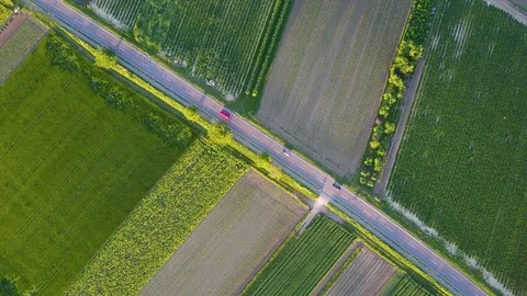 Flying vertically above car driving on road 4K. Aerial shot from top of car Stock Footage 76751245