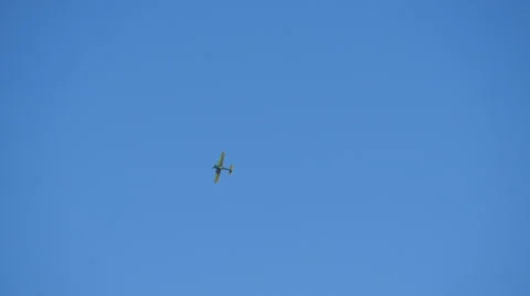 Flying of vintage propeller plane in air. Propeller airplane Stock Footage