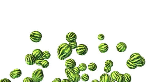 Flying watermelon on white background. Stock Footage 57726335