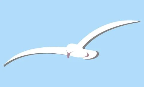 A flying white bird with a gray tail and wings. Blue background. Stock Illustration