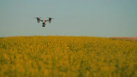 Flying white drone with digital camera in sunny day. Footage of quadcopter on Stock-Footage 219949930