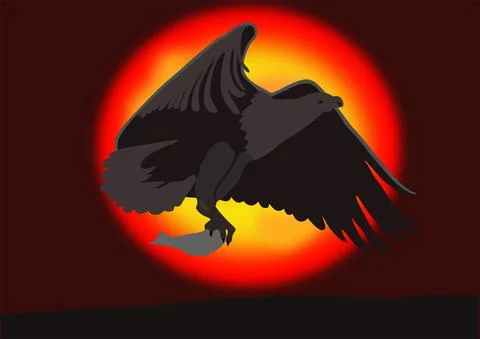 Flying white eagle with caught fish, on the background of the initial sky. Stock Illustration